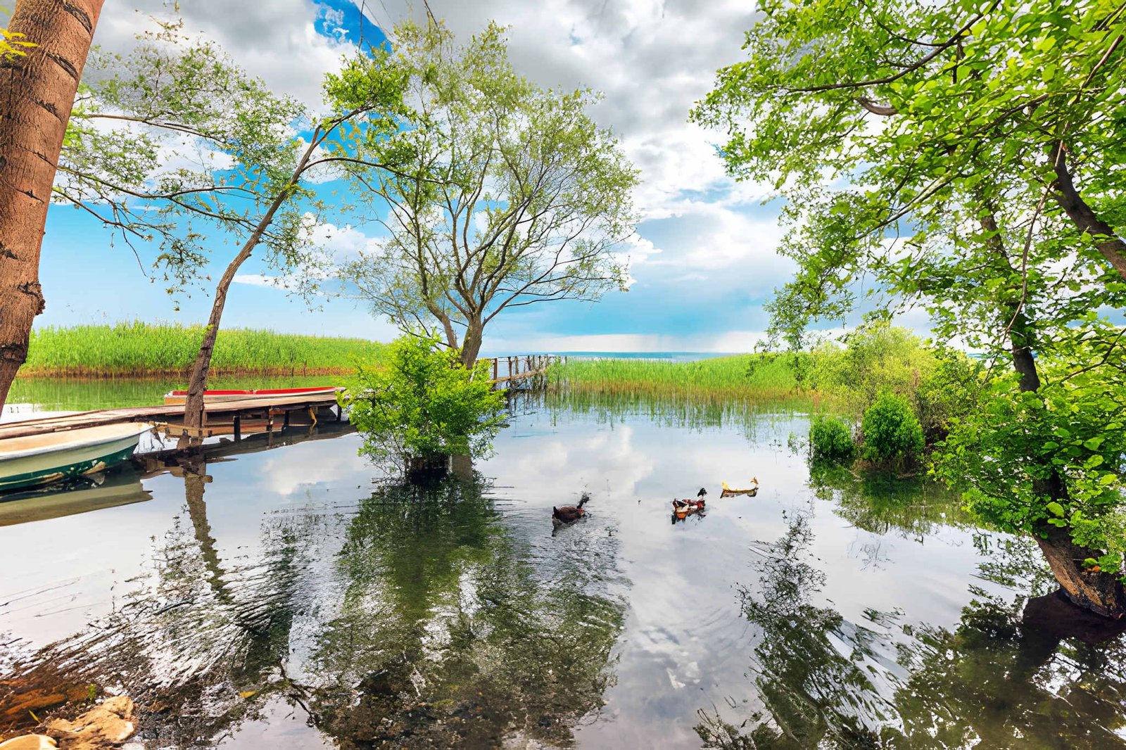 şoförlü araç kiralama – Majed Travel